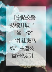 宁陵交警持续开展“一盔一带”“礼让斑马线”主题公益宣传活