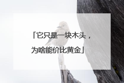 它只是一块木头，为啥能价比黄金