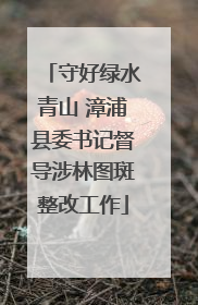 守好绿水青山 漳浦县委书记督导涉林图斑整改工作