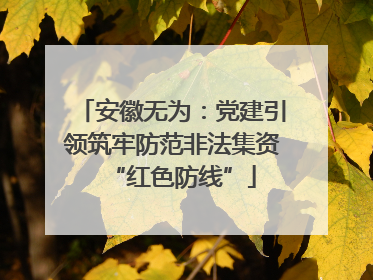 安徽无为：党建引领筑牢防范非法集资“红色防线”