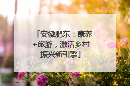 安徽肥东：康养+旅游，激活乡村振兴新引擎