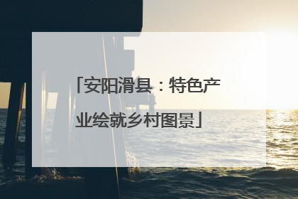 安阳滑县：特色产业绘就乡村图景