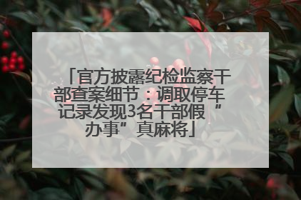 官方披露纪检监察干部查案细节：调取停车记录发现3名干部假“办事”真麻将
