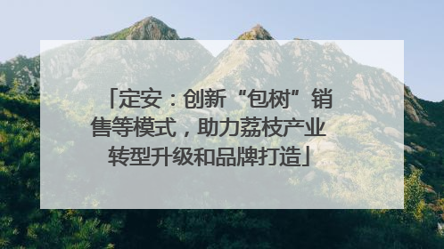 定安：创新“包树”销售等模式，助力荔枝产业转型升级和品牌打造