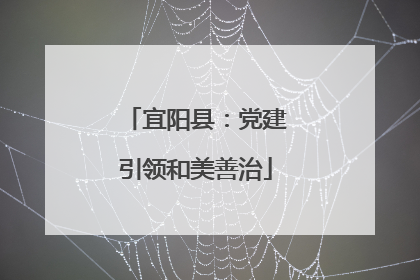 宜阳县：党建引领和美善治