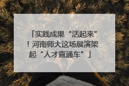 实践成果“活起来”！河南师大这场展演架起“人才直通车”