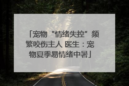 宠物“情绪失控”频繁咬伤主人 医生：宠物夏季易情绪中暑