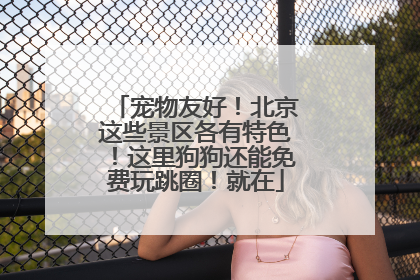 宠物友好！北京这些景区各有特色！这里狗狗还能免费玩跳圈！就在