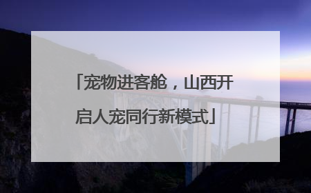 宠物进客舱，山西开启人宠同行新模式