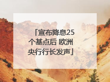 宣布降息25个基点后 欧洲央行行长发声