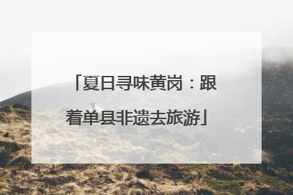 夏日寻味黄岗：跟着单县非遗去旅游