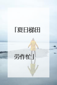 夏日梯田劳作忙
