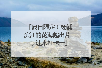 夏日限定！杨浦滨江的花海超出片，速来打卡→