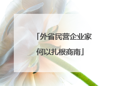 外省民营企业家何以扎根商南
