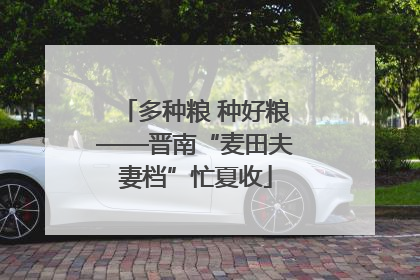 多种粮 种好粮——晋南“麦田夫妻档”忙夏收