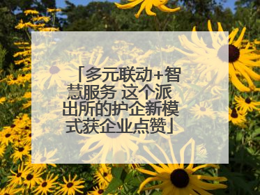 多元联动+智慧服务 这个派出所的护企新模式获企业点赞