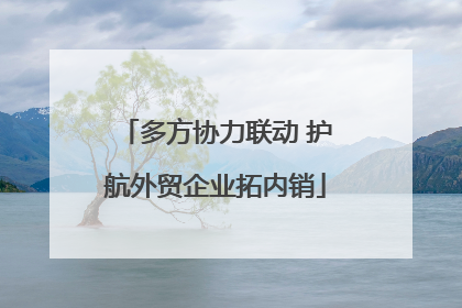 多方协力联动 护航外贸企业拓内销