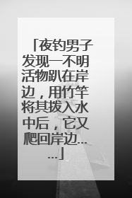 夜钓男子发现一不明活物趴在岸边，用竹竿将其拨入水中后，它又爬回岸边……