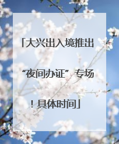 大兴出入境推出“夜间办证”专场！具体时间
