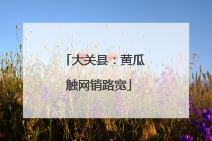 大关县：黄瓜触网销路宽