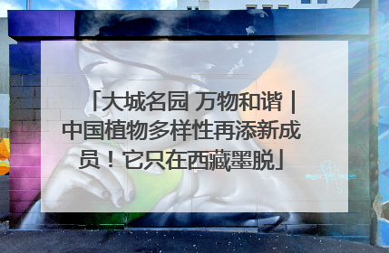 大城名园 万物和谐｜中国植物多样性再添新成员！它只在西藏墨脱