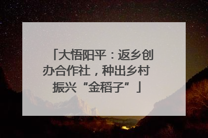 大悟阳平：返乡创办合作社，种出乡村振兴“金稻子”