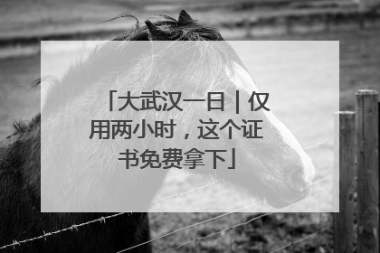 大武汉一日｜仅用两小时，这个证书免费拿下
