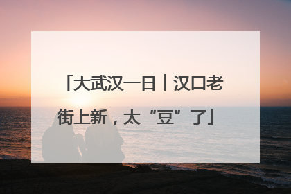 大武汉一日︱汉口老街上新，太“豆”了