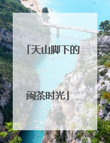 天山脚下的闽茶时光