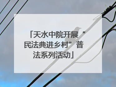 天水中院开展“民法典进乡村”普法系列活动