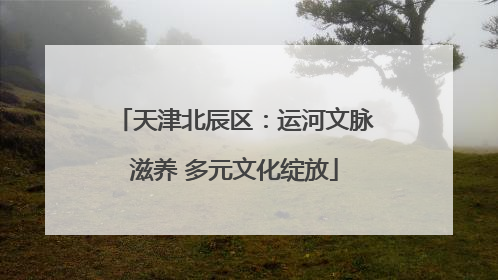 天津北辰区：运河文脉滋养 多元文化绽放