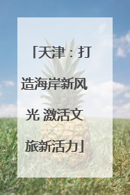 天津：打造海岸新风光 激活文旅新活力