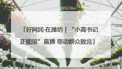 好网民·在潍坊｜“小高书记正能量”直播 带动群众致富