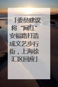 委员建议将“网红”安福路打造成文艺步行街，上海徐汇区回应