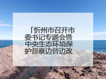 忻州市召开市委书记专题会暨中央生态环境保护督察边督边改工作推进会
