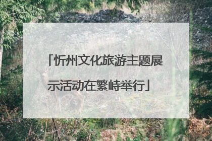 忻州文化旅游主题展示活动在繁峙举行