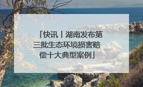 快讯丨湖南发布第三批生态环境损害赔偿十大典型案例