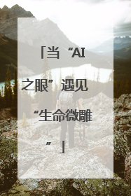 当“AI之眼”遇见“生命微雕”