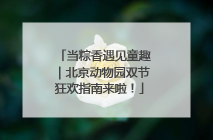 当粽香遇见童趣｜北京动物园双节狂欢指南来啦！