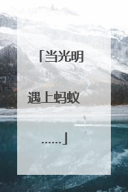 当光明遇上蚂蚁……