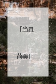 当夏荷美