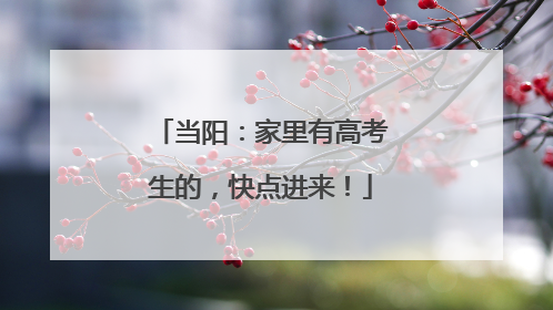 当阳：家里有高考生的，快点进来！