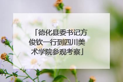 德化县委书记方俊钦一行到四川美术学院参观考察