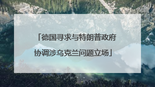 德国寻求与特朗普政府协调涉乌克兰问题立场