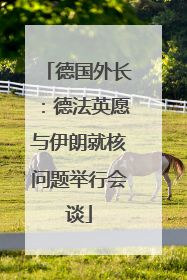 德国外长：德法英愿与伊朗就核问题举行会谈