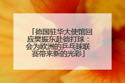 德国驻华大使馆回应樊振东赴德打球：会为欧洲的乒乓球联赛带来新的光彩