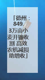 德州：849.3万亩小麦开镰收割 高效农机减损助增收