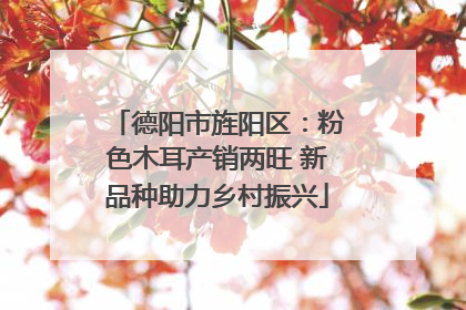 德阳市旌阳区：粉色木耳产销两旺 新品种助力乡村振兴