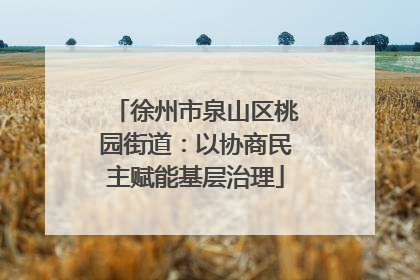 徐州市泉山区桃园街道：以协商民主赋能基层治理