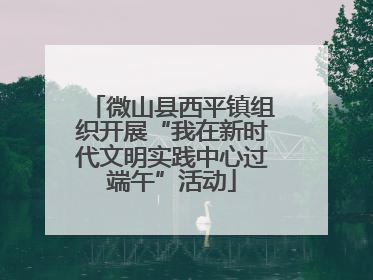 微山县西平镇组织开展“我在新时代文明实践中心过端午”活动